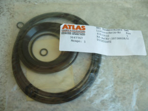 Wellendichtring Nutring Dichtung Dichtsatz Minibagger Atlas 404 R 3647767
