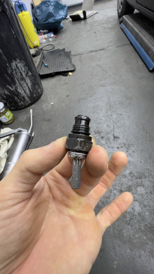 Check valve, hydraulic valve, holding valve, Nussbaum Sprinter Mobil II 2